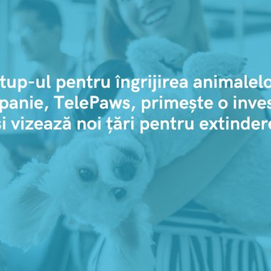 Startup-ul de <span class="title-highlight">medicină veterinară</span> TelePaws primește o investiție și vizează extinderea