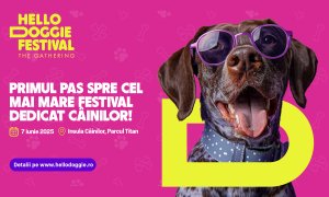 Hello Doggie, primul festival dedicat iubitorilor de câini din România