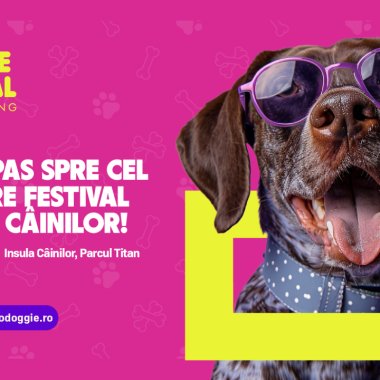 Hello Doggie, primul festival dedicat iubitorilor de câini din România