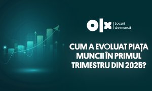 Cele mai căutate domenii de către candidații care vor un job în 2025