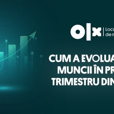 Cele mai căutate domenii de către candidații care vor un job în 2025