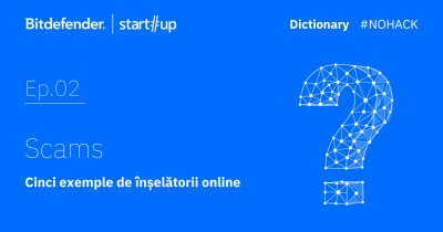 Cinci tipuri de înșelătorii online și cum să te aperi de ele