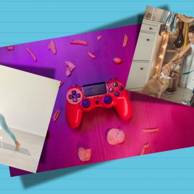 România recunoaște oficial <span class="title-highlight">noi profesii</span>: de la îngrijitor de câini la instructor pilates