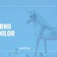 Cine sunt unicornii românilor | Companii de peste 1.000.000.000 $ cu fondatori români