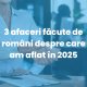 3 afaceri făcute de români despre care am aflat în 2025