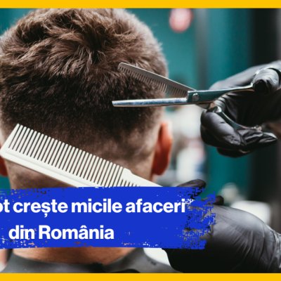 Primul pas înainte | Chiar şi într-o economie cu provocări, micile afaceri din România pot creşte