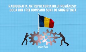 Moare antreprenoriatul românesc? 2 din 3 companii sunt de subzistență | Radiografia afacerilor locale