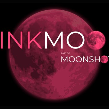 PinkMoon: Raiffeisen și InnovX invită antreprenoarele să-și extindă companiile la nivel internațional
