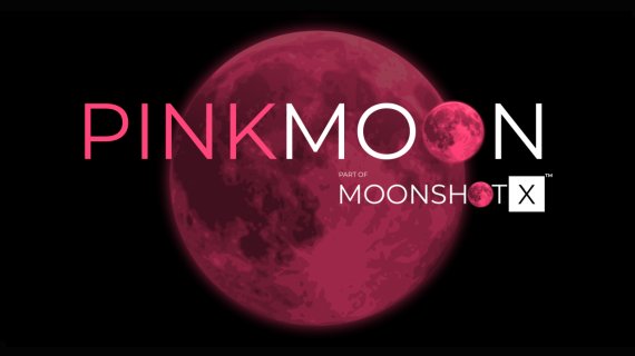 PinkMoon: Raiffeisen și InnovX invită antreprenoarele să-și extindă companiile la nivel internațional