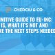 The definitive guide to EU-INC: what it is, what it's not and what are the next steps needed
