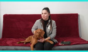 Secretele meseriilor din România: meseria perfectă pentru orice iubitor de animale