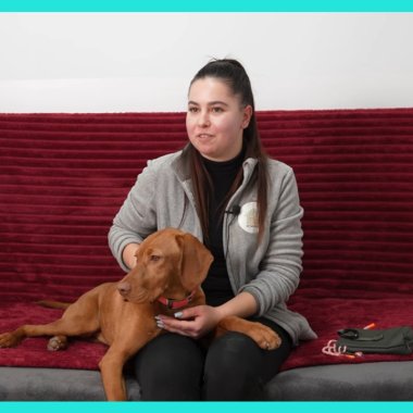 Secretele meseriilor din România: meseria perfectă pentru orice iubitor de animale