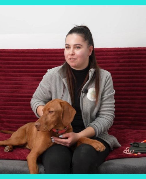 Secretele meseriilor din România: meseria perfectă pentru orice iubitor de animale