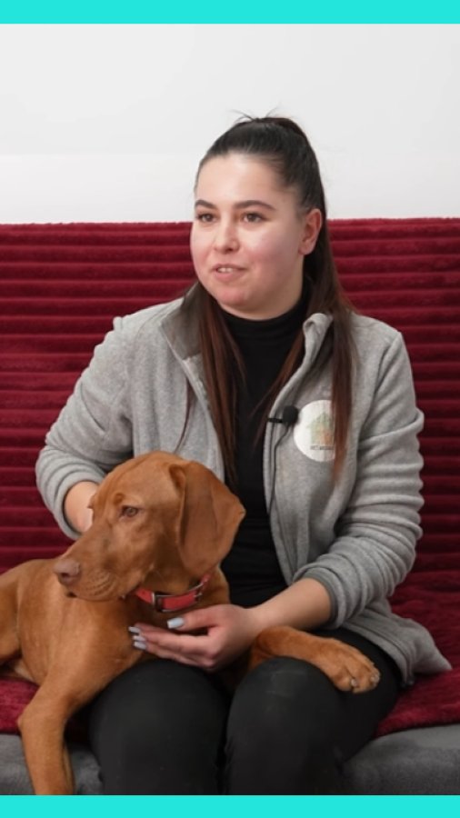 Secretele meseriilor din România: meseria perfectă pentru orice iubitor de animale