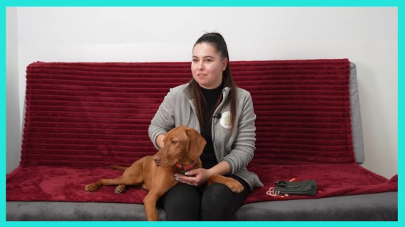 Secretele meseriilor din România: meseria perfectă pentru orice iubitor de animale