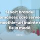 SLooP: brandul românesc care servea smoothie-uri înainte să fie la modă