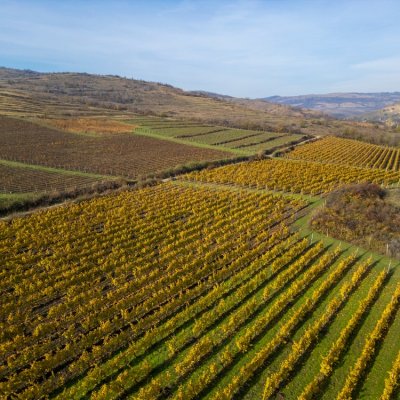 Grupul Purcari achiziționează crama SERVE Ceptura, prima cramă privată deschisă după 1989