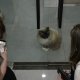 Am vizitat o fabrică de aspiratoare în China unde pisicile sunt angajați permanenți