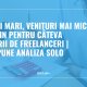 Taxe mai mari, venituri mai mici - mai puțin pentru câteva categorii de freelanceri | Ce ne spune analiza SOLO
