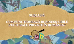 Sub Lupă: cum funcționează business-urile culturale private în România?