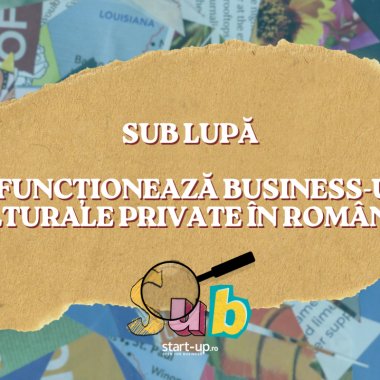 Sub Lupă: cum funcționează business-urile culturale private în România?