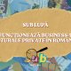 Sub Lupă: cum funcționează business-urile culturale private în România?