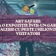 Art Safari: de la o expoziție într-un garaj la galerii cu peste 1 milion de vizitatori