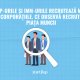 Startup-urile și IMM-urile recrutează mai ușor decât corporațiile. Ce observă Recrutopia pe piața muncii