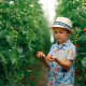 Cum funcționează un restaurant farm to table: de ce să vizitați Trattoria Domeniile Săftica?
