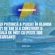 Vlad Pațurcă a plecat în Olanda la 21 de ani și a deschis o școală de înot cu peste 300 de cursanți | Români din lume