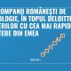 Opt companii românești de tehnologie, în topul Deloitte al afacerilor cu cea mai rapidă creștere din EMEA