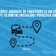 Din torpedou, direct în aplicație: startup-ul care automatizează bonurile de combustibil și foile de parcurs