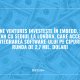 Underline Ventures investește în Embedd, startup ucrainean care accelerează integrarea software-ului pe cipuri. Runda de 2,7 mil. dolari