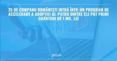 25 de companii românești intră într-un program de accelerare a adopției AI. Patru dintre ele pot primi granturi de 1 mil. lei