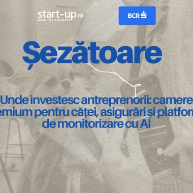 Șezătoarea de Pet Care. Unde investesc antreprenorii: camere premium pentru căței, asigurări și platforme de monitorizare cu AI