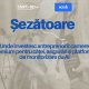 Șezătoarea de Pet Care. Unde investesc antreprenorii: camere premium pentru căței, asigurări și platforme de monitorizare cu AI