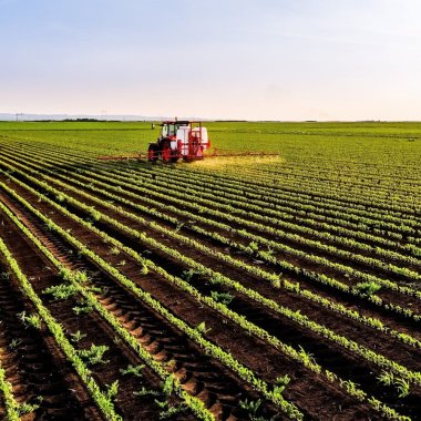 Agricultura invizibilă: sateliți, senzori și algoritmi care citesc fiecare hectar