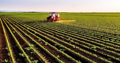 Agricultura invizibilă: sateliți, senzori și algoritmi care citesc fiecare hectar